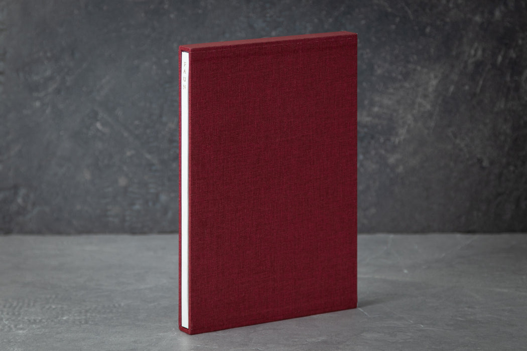 Faun by Joe Hill - Standard State