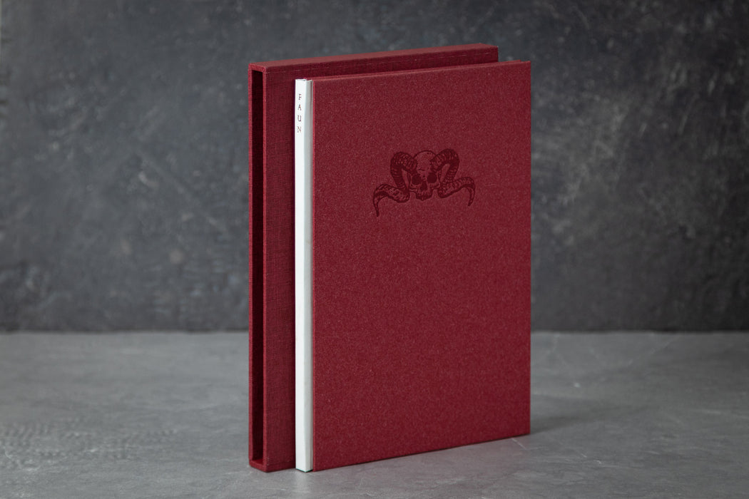 Faun by Joe Hill - Standard State
