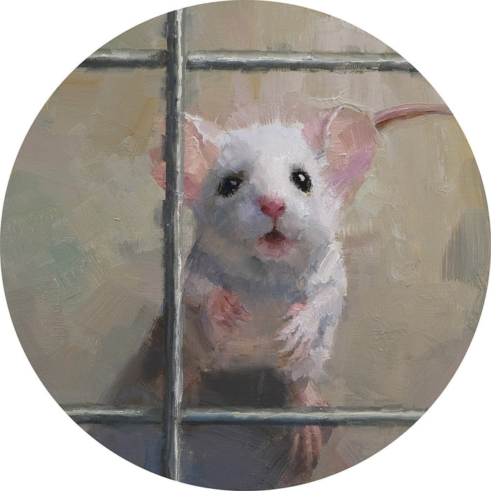 Flowers for Algernon by Daniel Keyes - Standard State