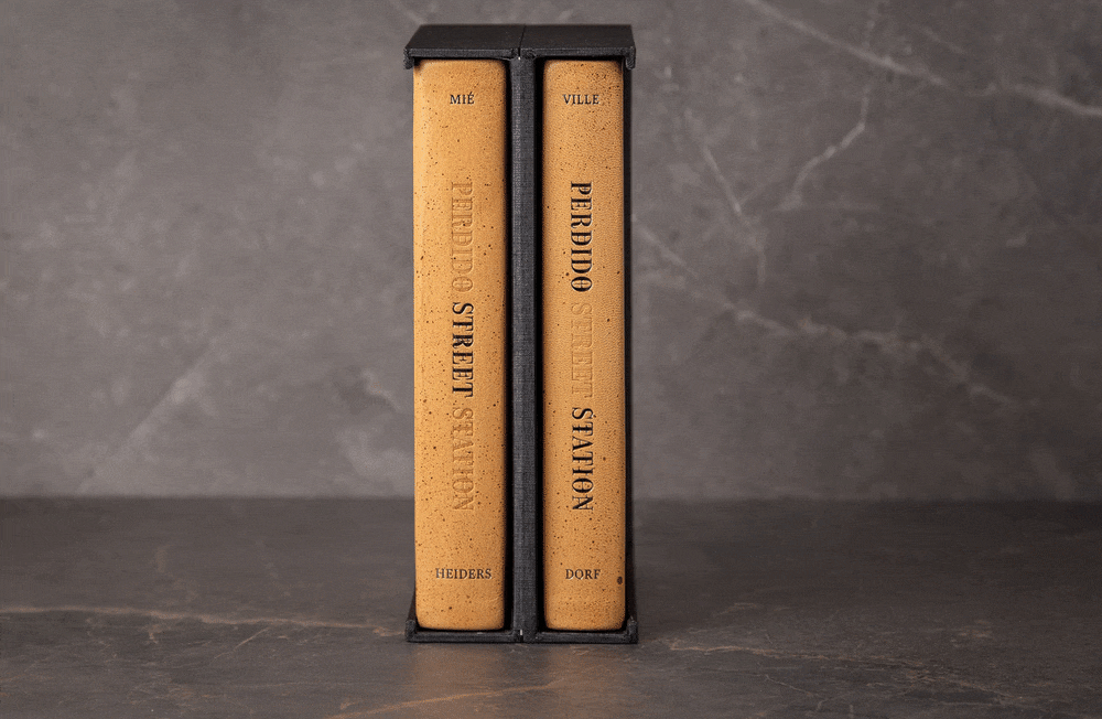Perdido Street Station by China Miéville - Lettered Edition